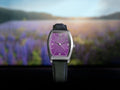 Suvi Lupine